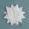 flocon étoilé blanc