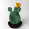 cactus au crochet