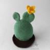 amigurumi cactus raquettes