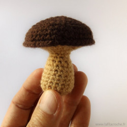Champignon cèpe au crochet