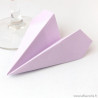 Marque-place avion mauve