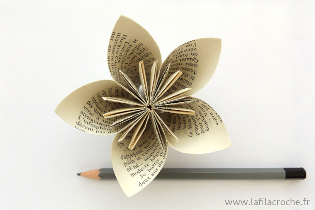 La fleur avec un crayon pour montrer la taille